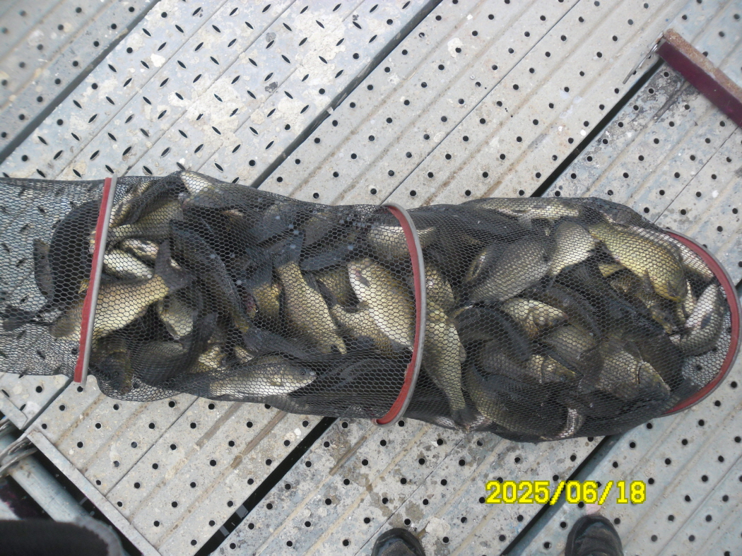 SAM_3559.JPG