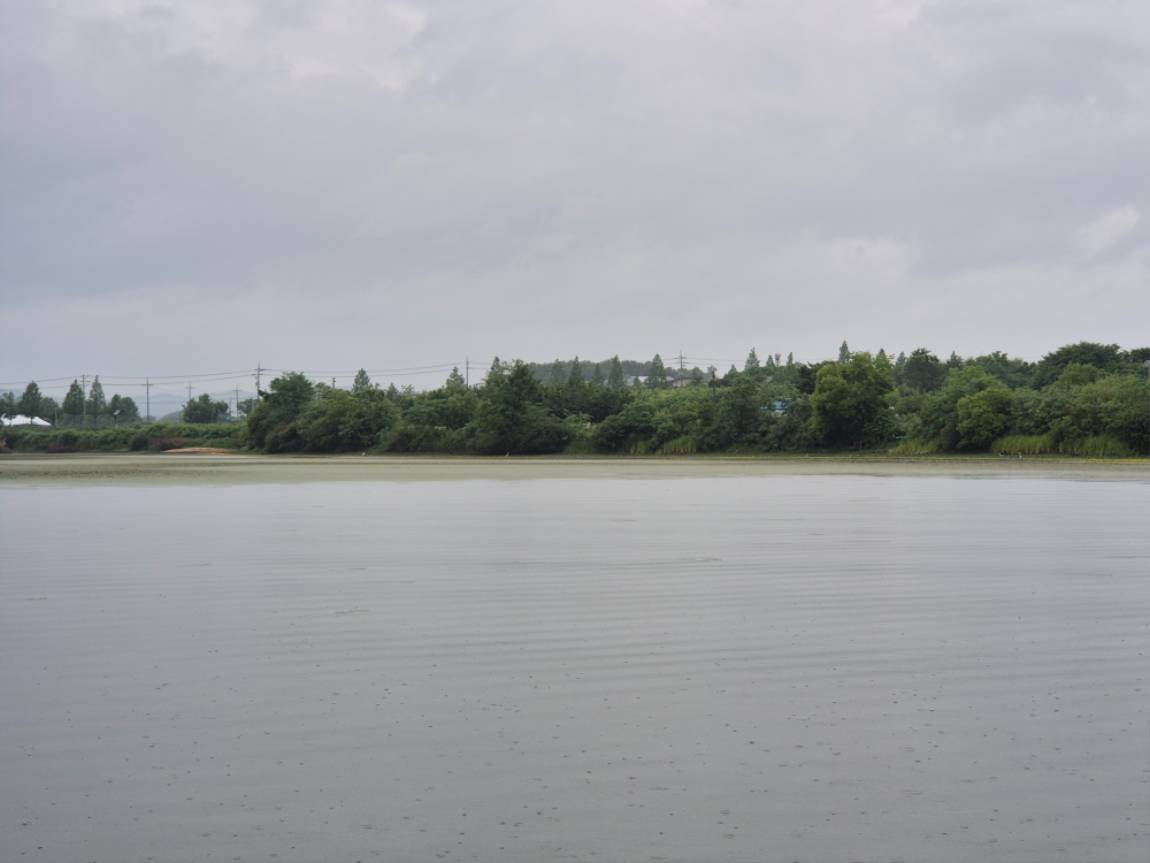 20250620_072951.jpg