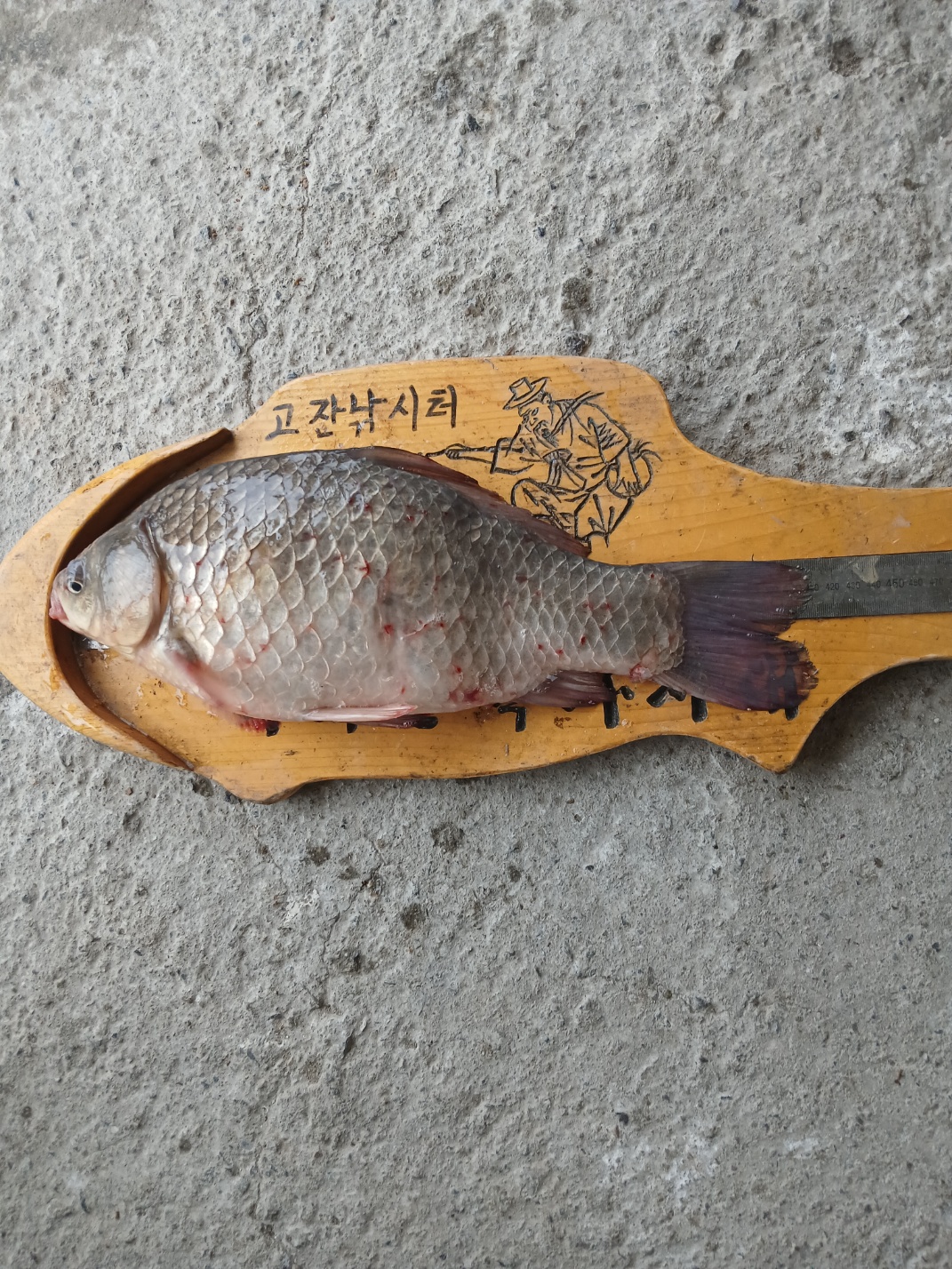 KakaoTalk_20250620_075258311_02.jpg