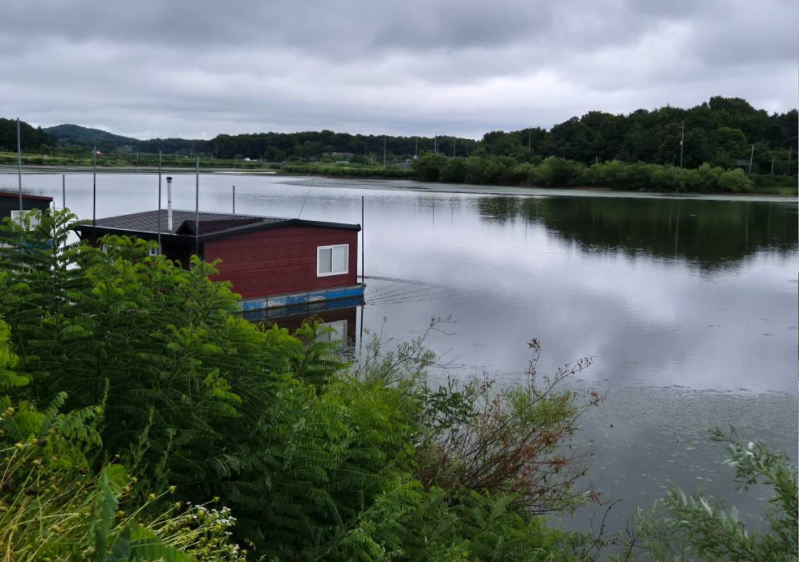 20250621_052650.jpg