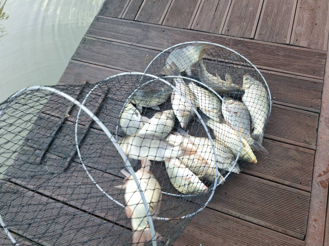 KakaoTalk_20250623_073331382_21.jpg