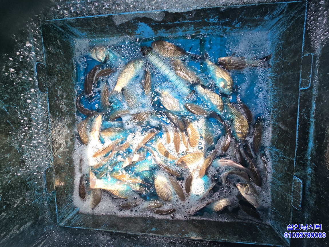 1750638120267.jpg