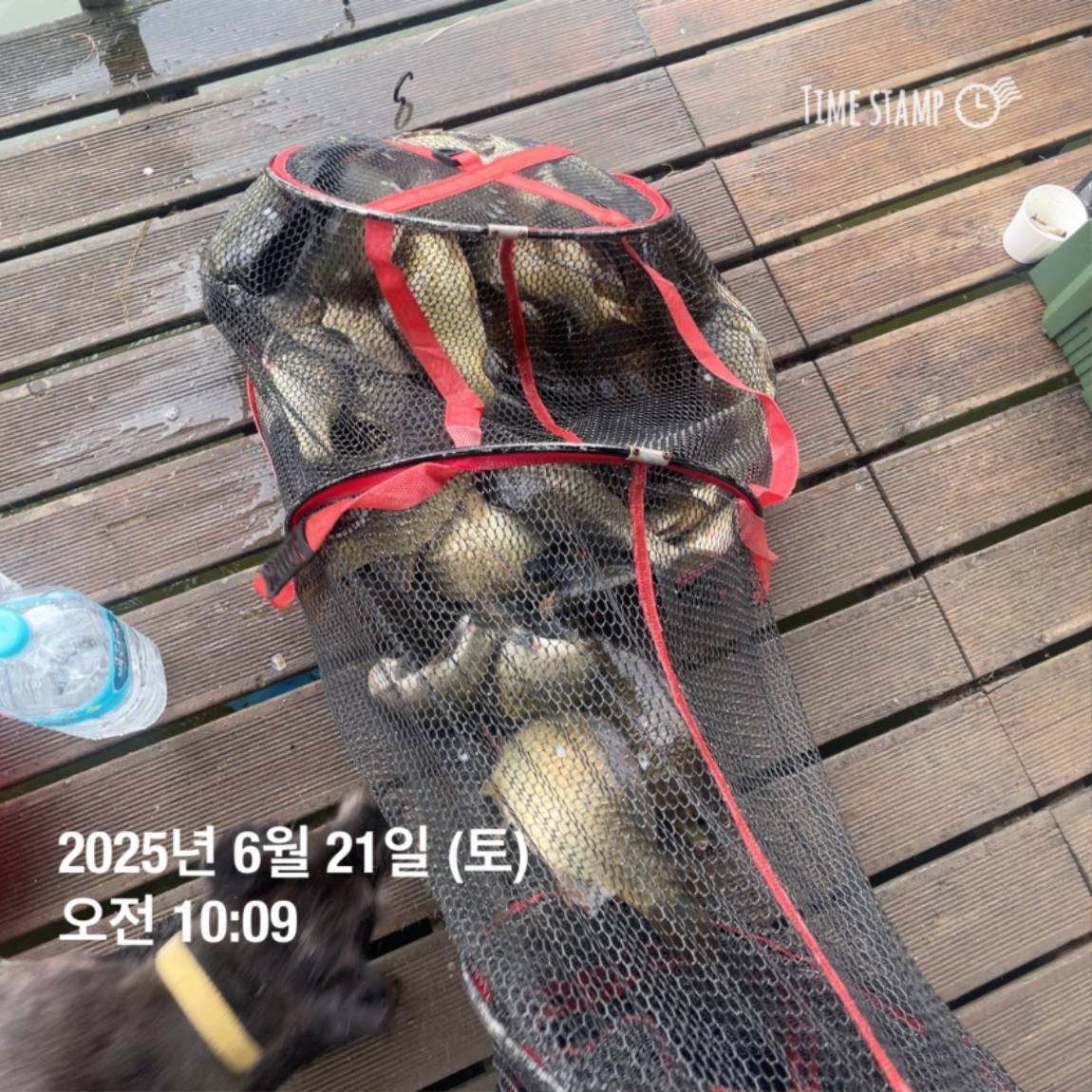 KakaoTalk_20250623_112456731_05.jpg