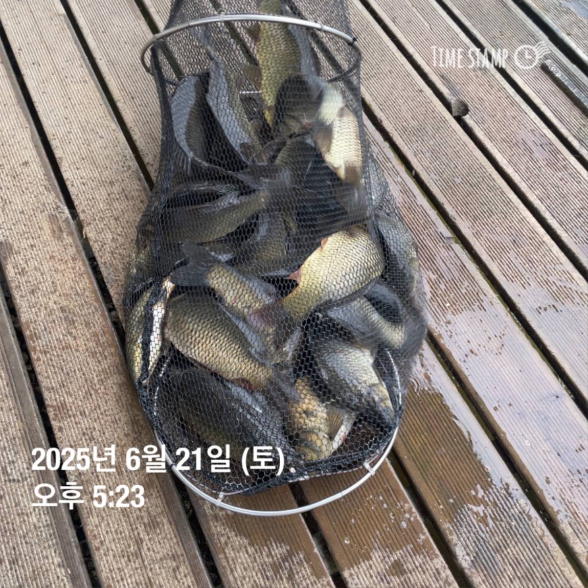 KakaoTalk_20250623_112456731_08.jpg