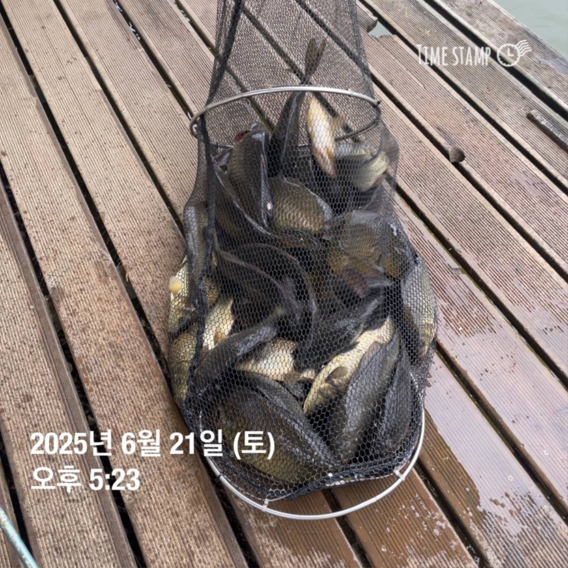 KakaoTalk_20250623_112456731_09.jpg