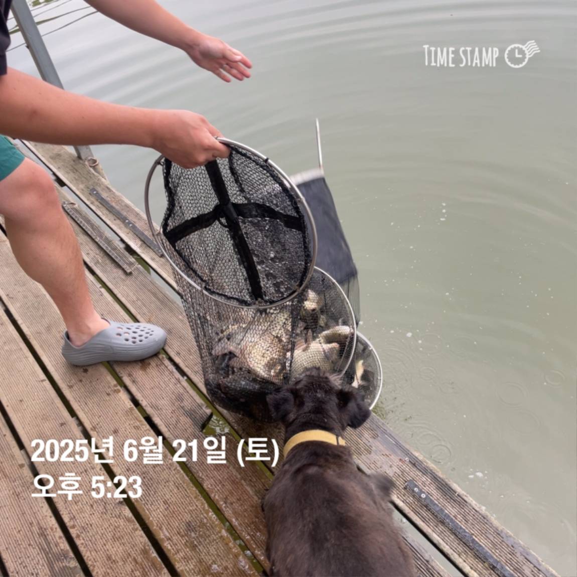 KakaoTalk_20250623_112456731_11.jpg