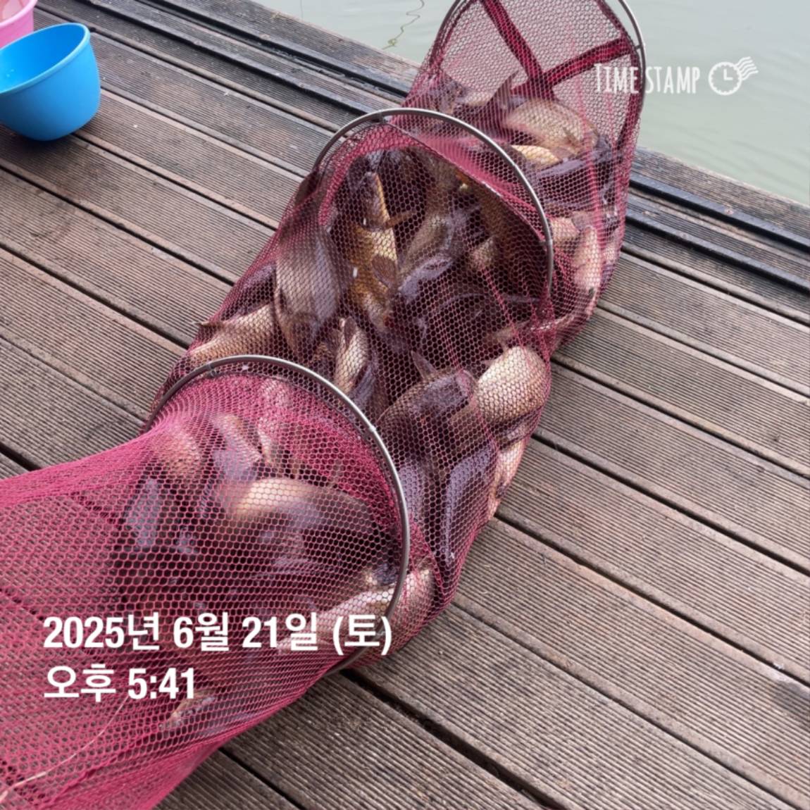 KakaoTalk_20250623_112456731_15.jpg