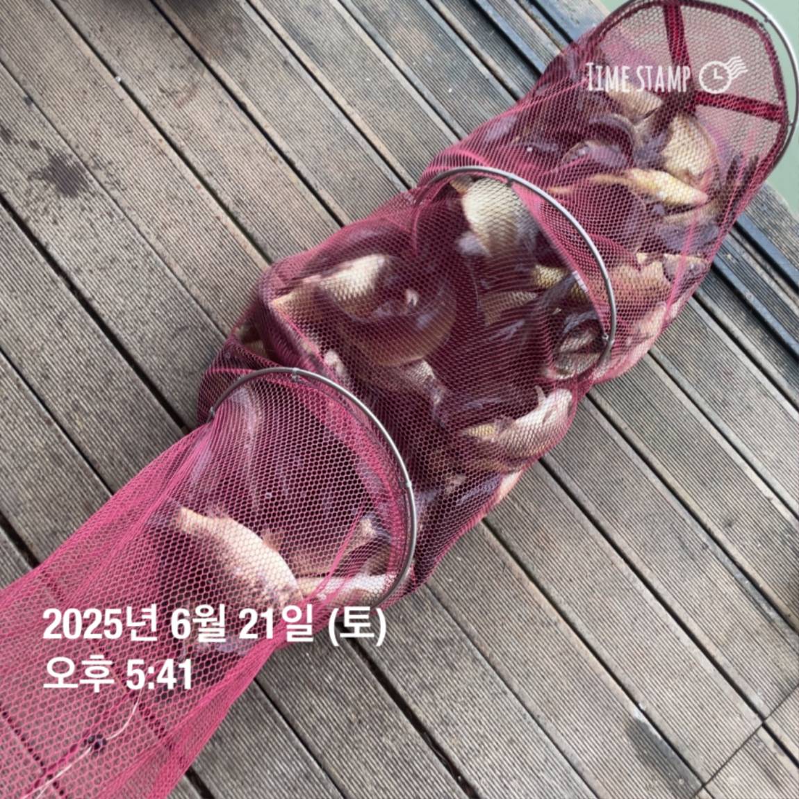 KakaoTalk_20250623_112456731_14.jpg