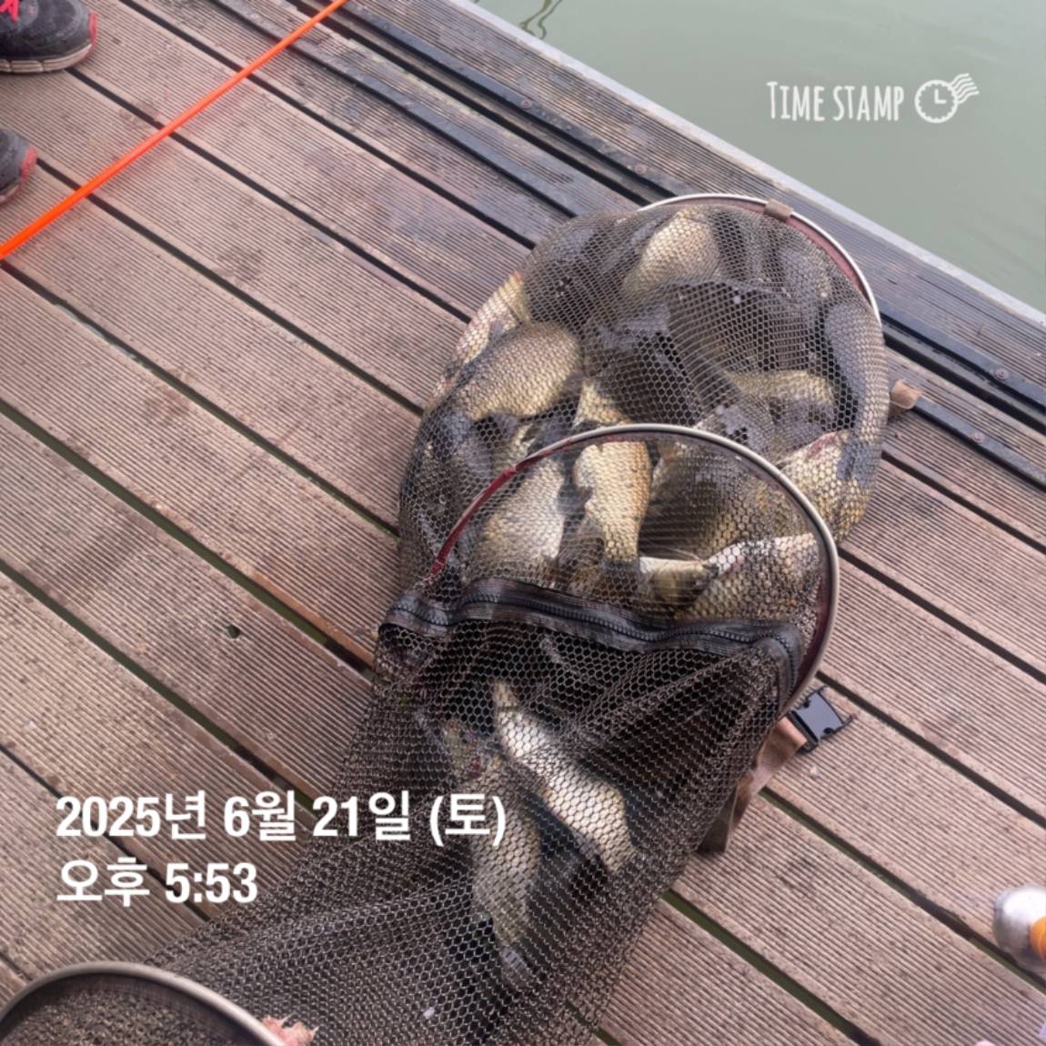 KakaoTalk_20250623_112456731_18.jpg