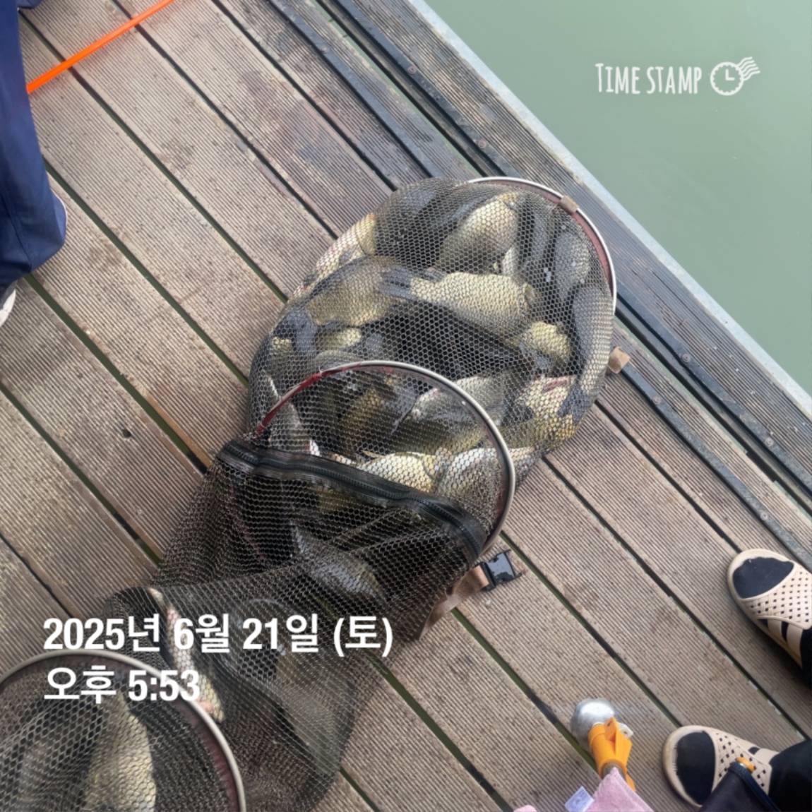 KakaoTalk_20250623_112456731_20.jpg