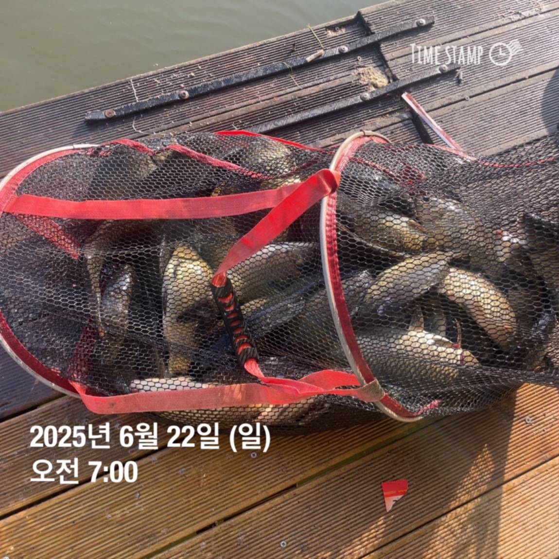 KakaoTalk_20250623_112456731_24.jpg