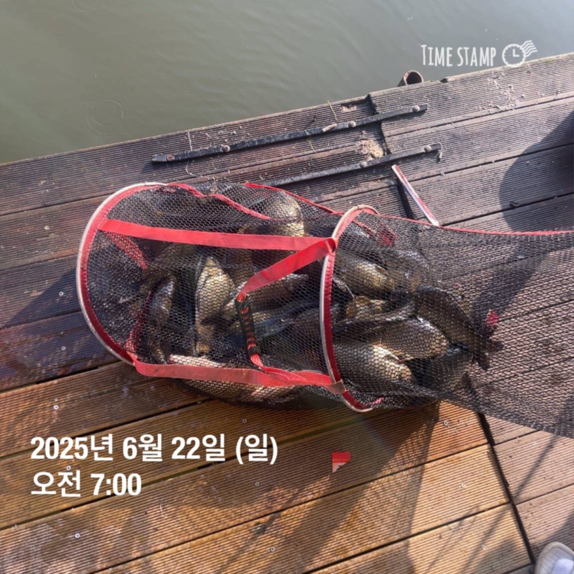 KakaoTalk_20250623_112456731_25.jpg