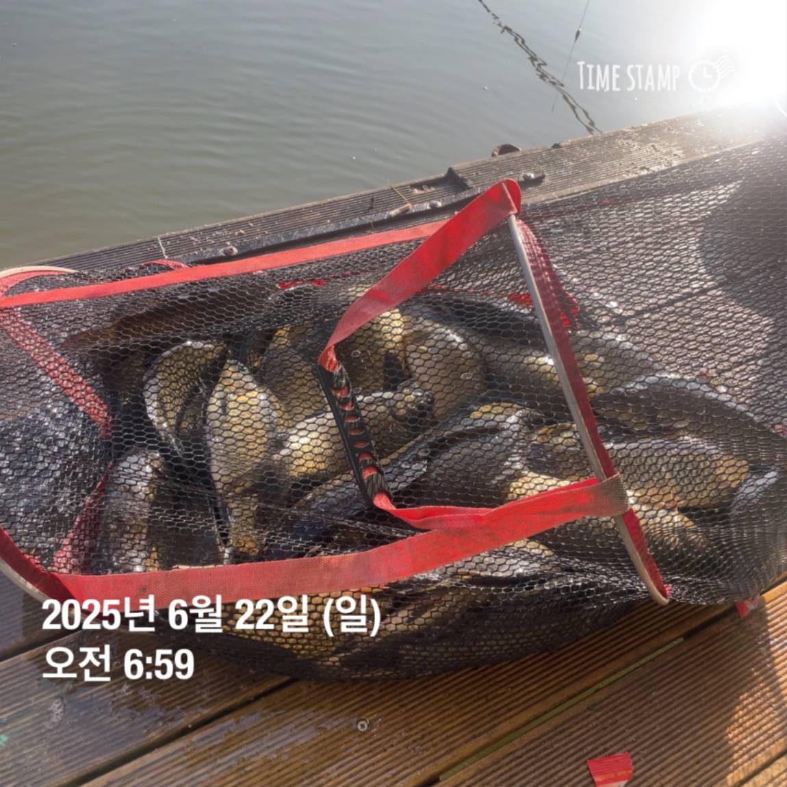 KakaoTalk_20250623_112456731_26.jpg