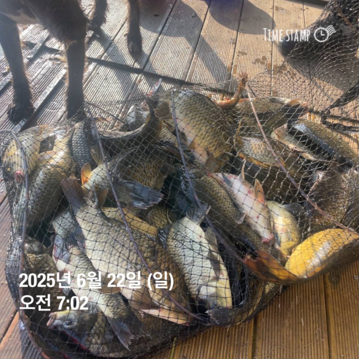 KakaoTalk_20250623_112505737.jpg