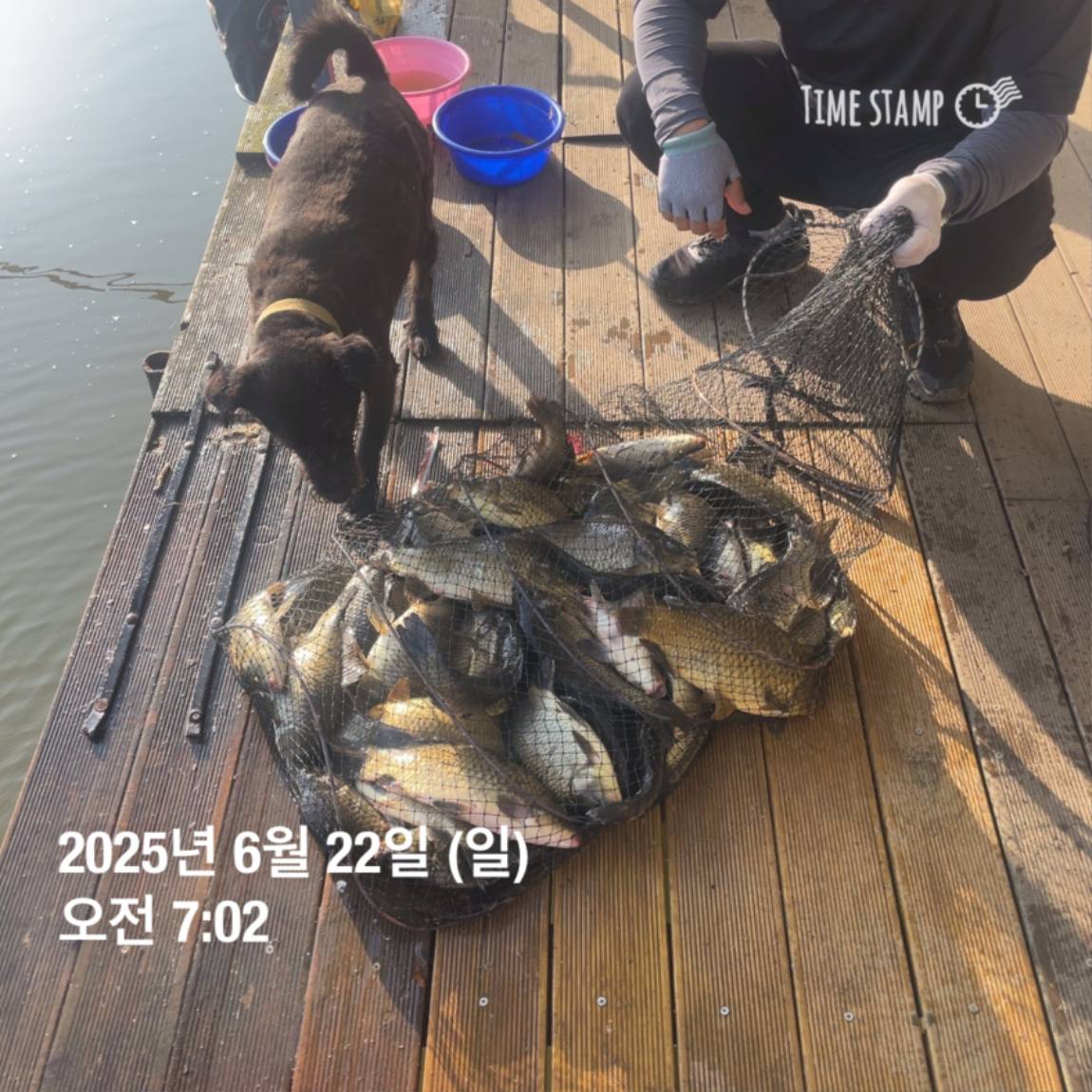 KakaoTalk_20250623_112456731_27.jpg