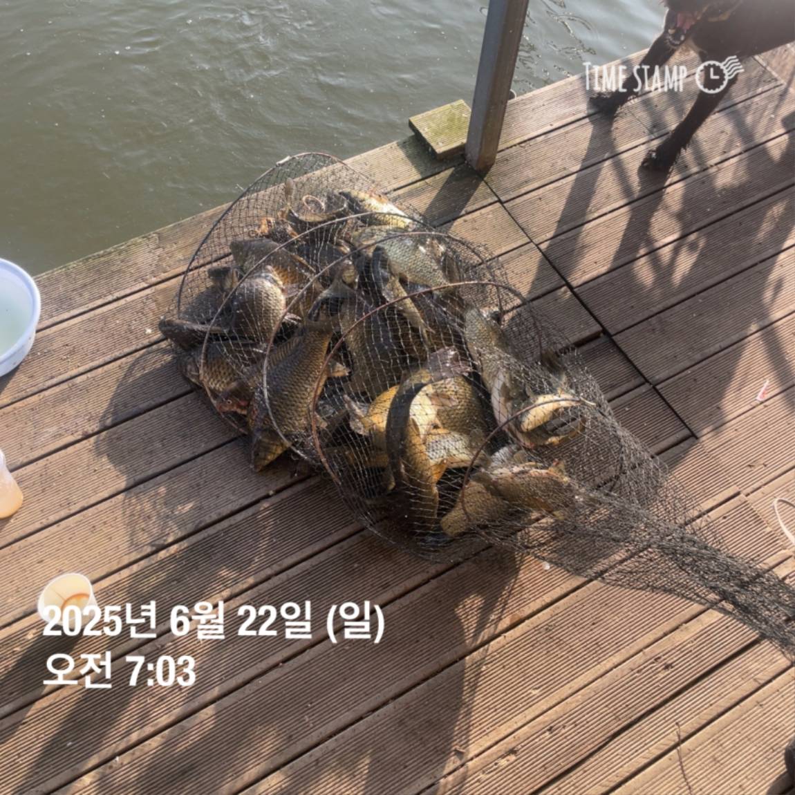 KakaoTalk_20250623_112505737_02.jpg