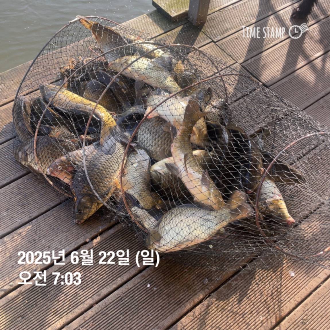 KakaoTalk_20250623_112505737_04.jpg