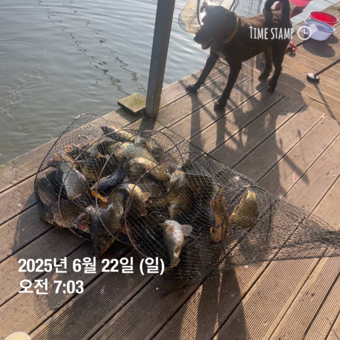 KakaoTalk_20250623_112505737_03.jpg