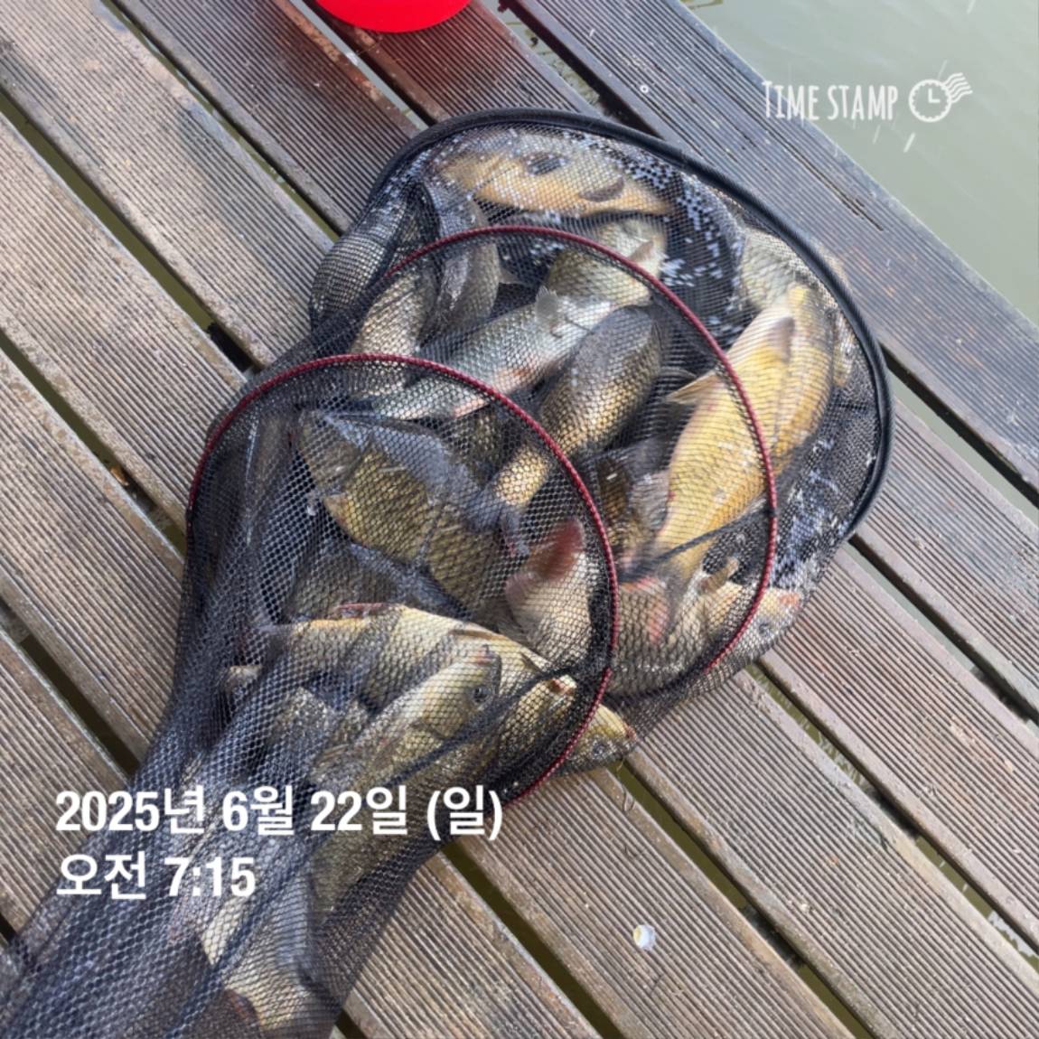 KakaoTalk_20250623_112505737_12.jpg