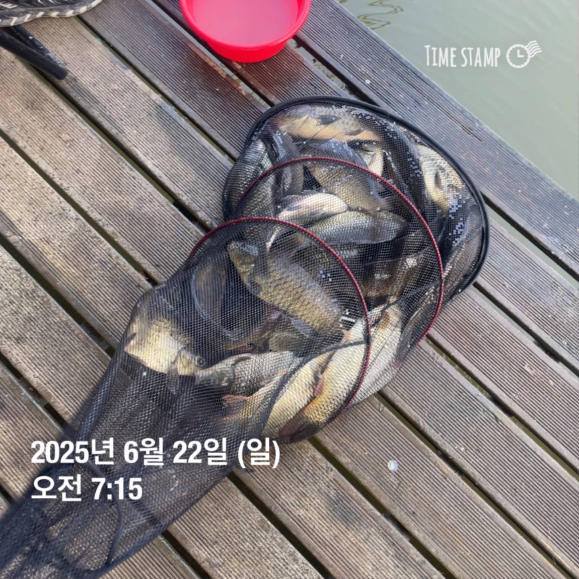 KakaoTalk_20250623_112505737_11.jpg