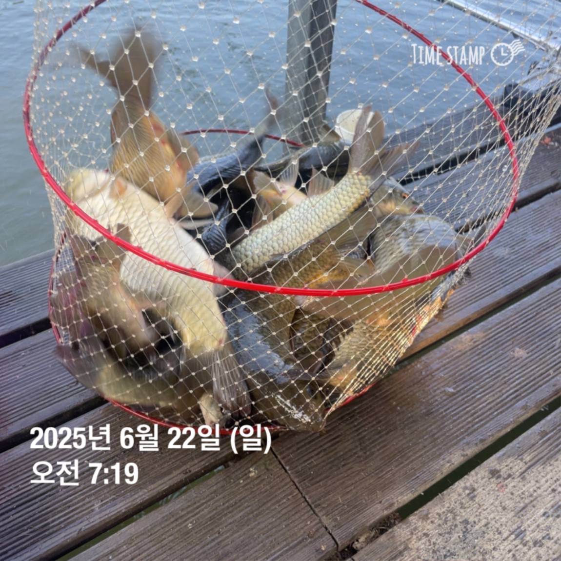 KakaoTalk_20250623_112505737_16.jpg