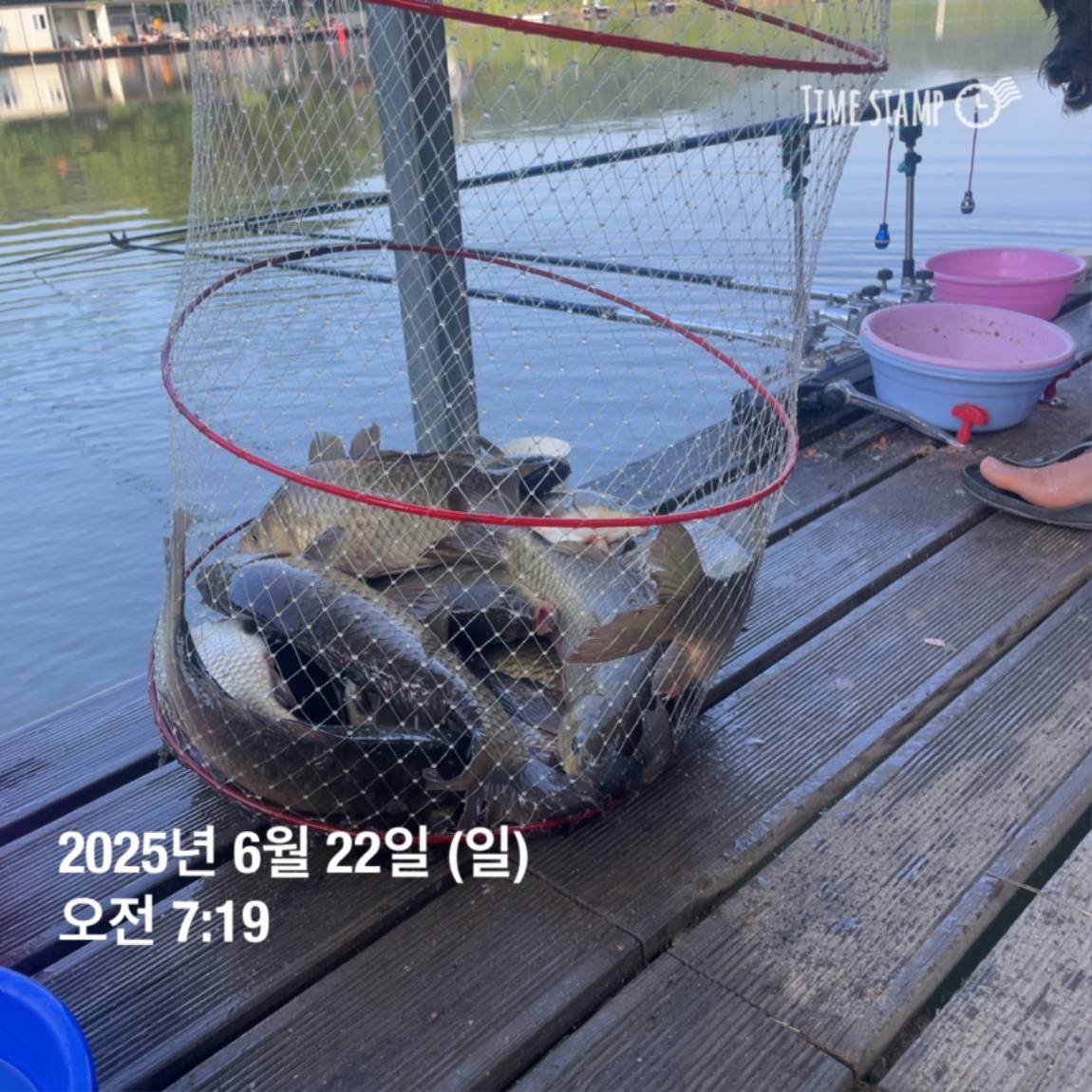 KakaoTalk_20250623_112505737_17.jpg