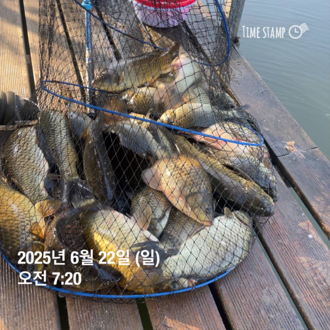KakaoTalk_20250623_112505737_20.jpg