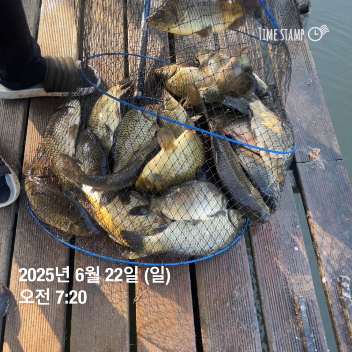 KakaoTalk_20250623_112505737_18.jpg