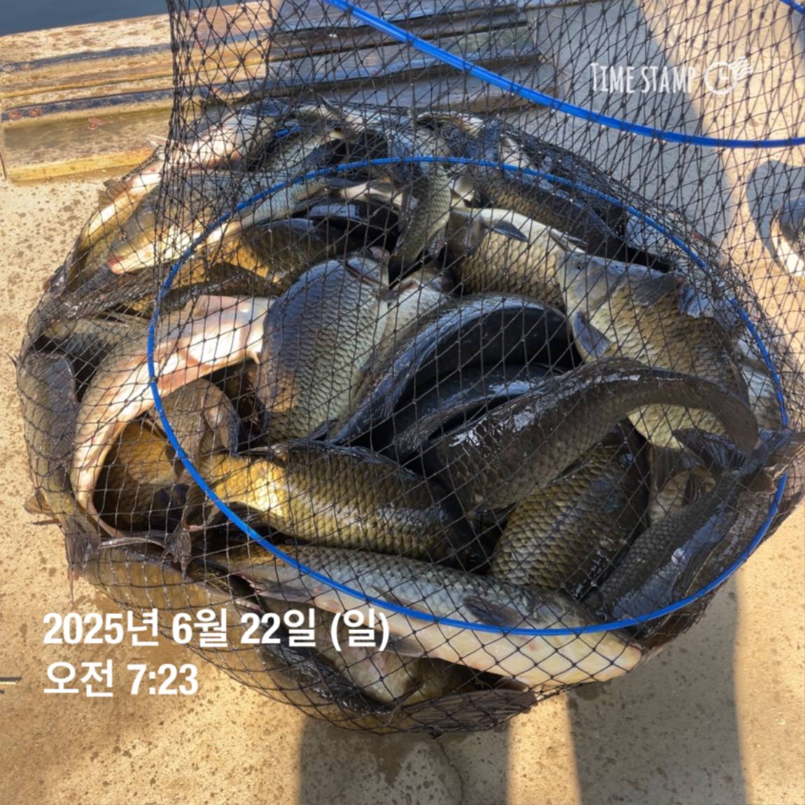 KakaoTalk_20250623_112505737_24.jpg