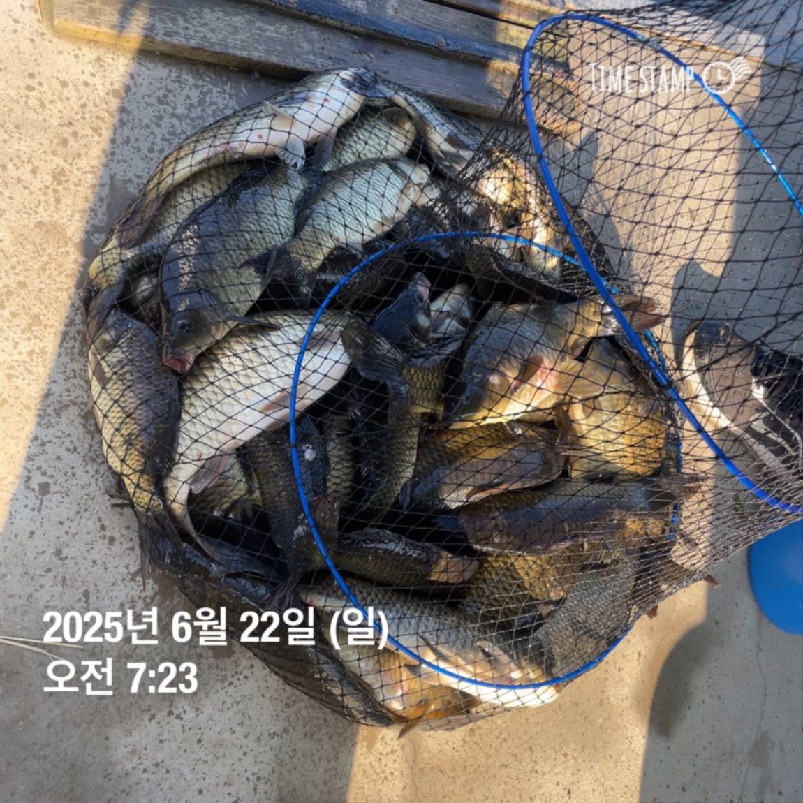 KakaoTalk_20250623_112505737_25.jpg
