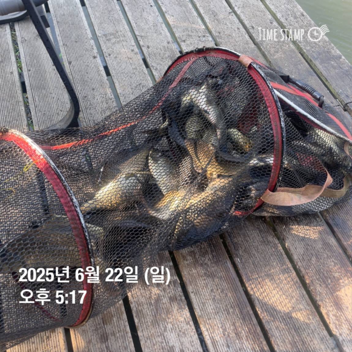 KakaoTalk_20250623_112518913_11.jpg