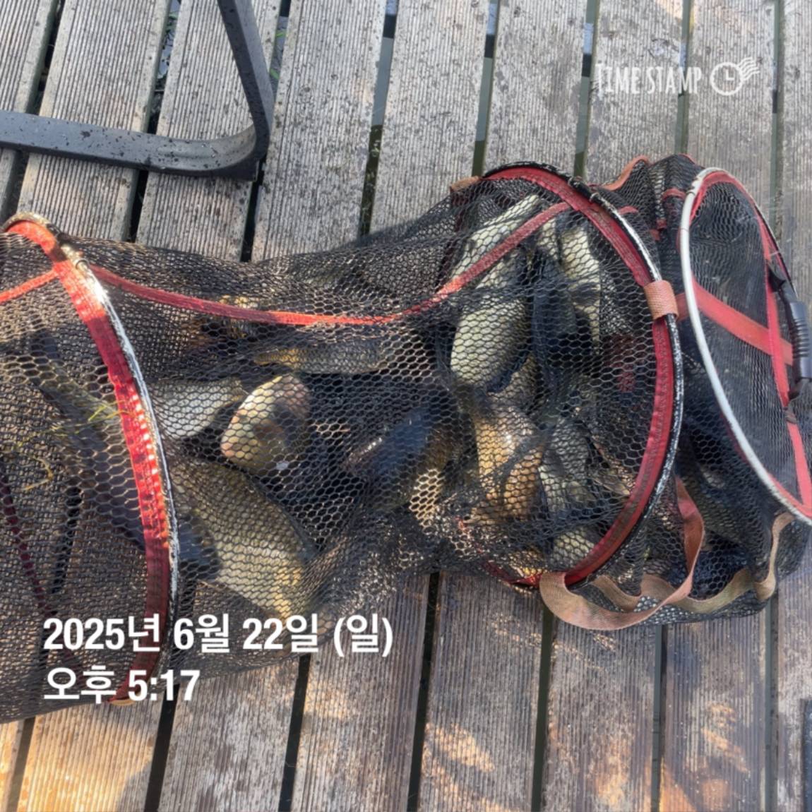 KakaoTalk_20250623_112518913_12.jpg