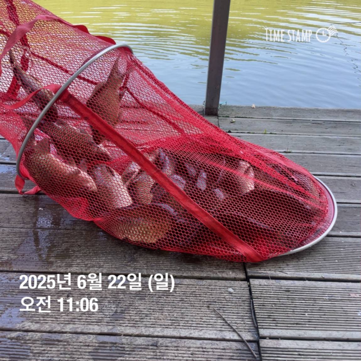 KakaoTalk_20250623_112518913_08.jpg