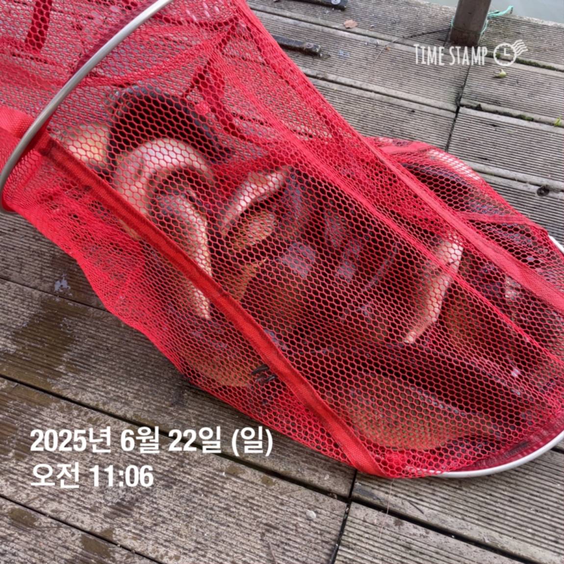 KakaoTalk_20250623_112518913_07.jpg