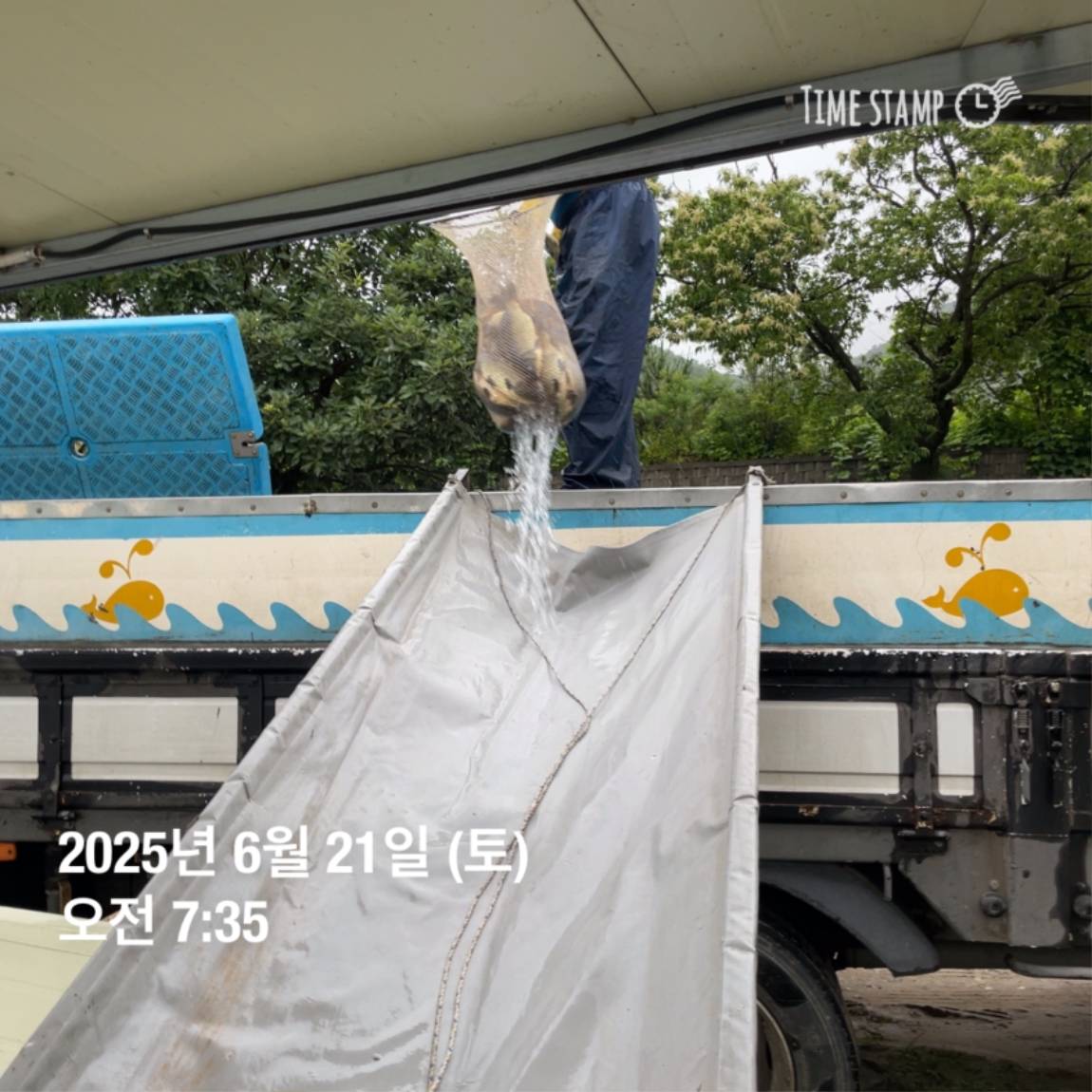 KakaoTalk_20250623_112518913_14.jpg