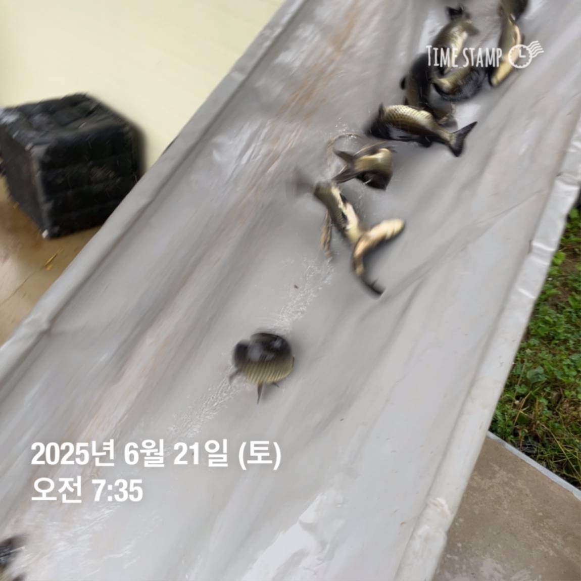 KakaoTalk_20250623_112518913_15.jpg