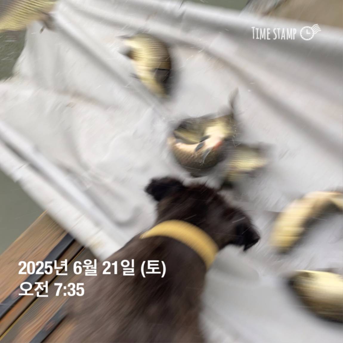 KakaoTalk_20250623_112518913_17.jpg