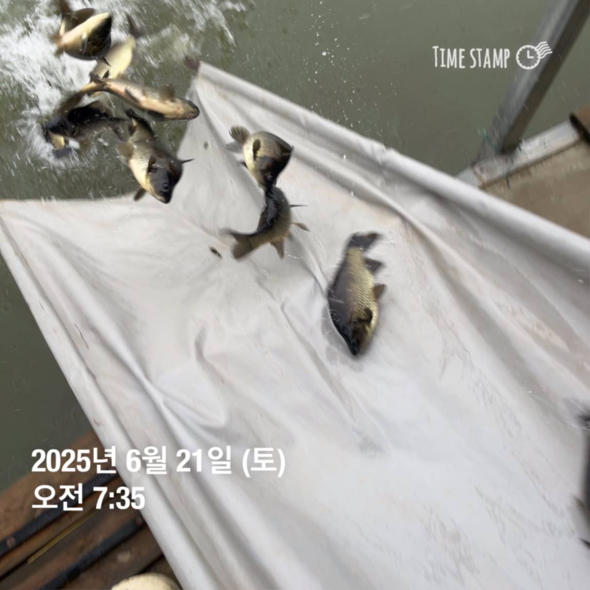 KakaoTalk_20250623_112518913_16.jpg