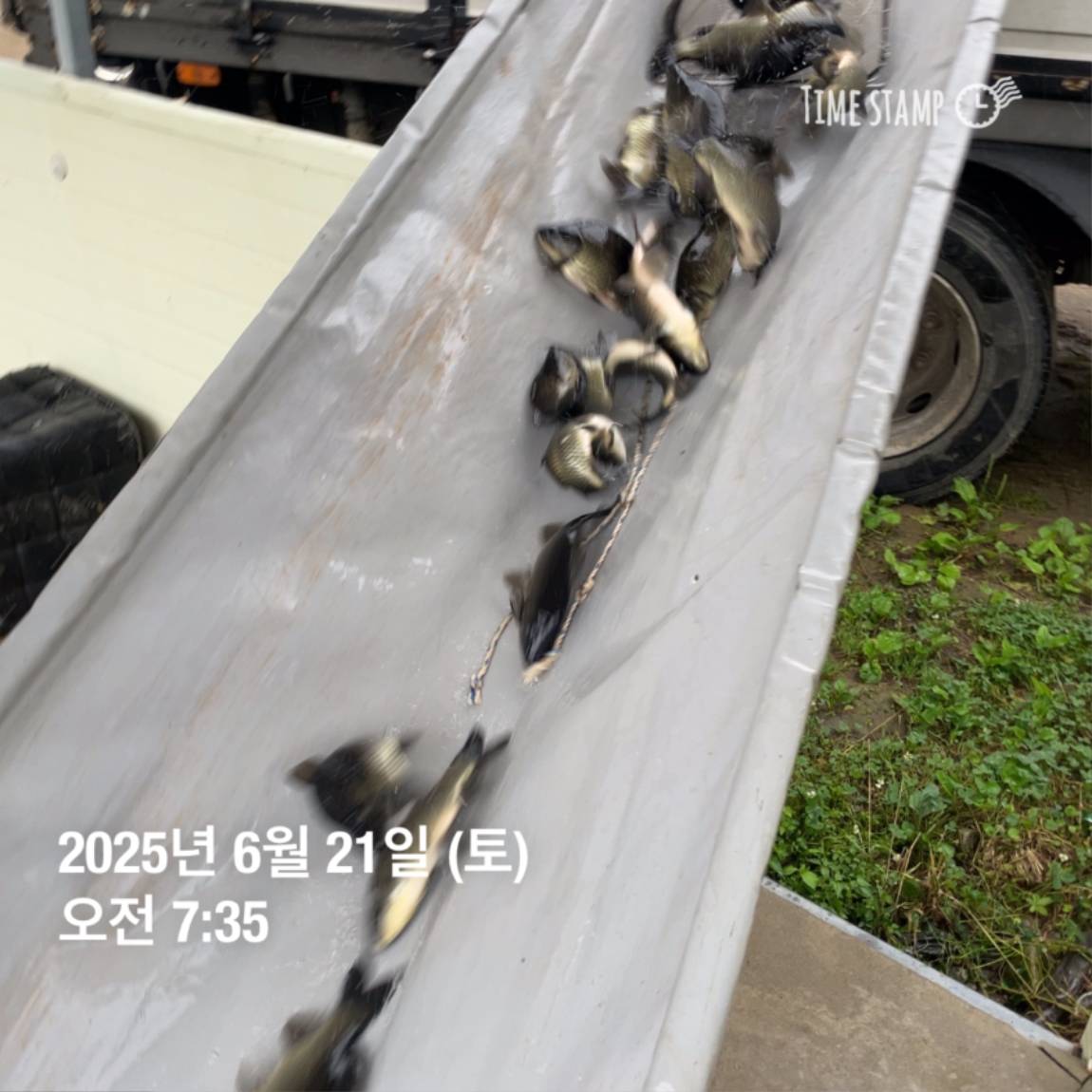 KakaoTalk_20250623_112518913_18.jpg