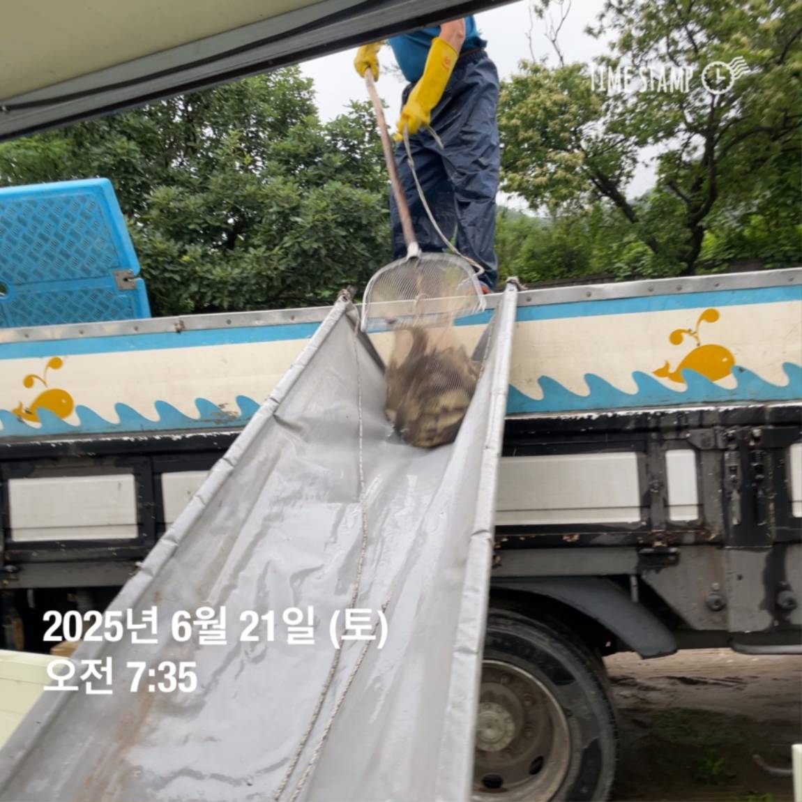 KakaoTalk_20250623_112518913_19.jpg