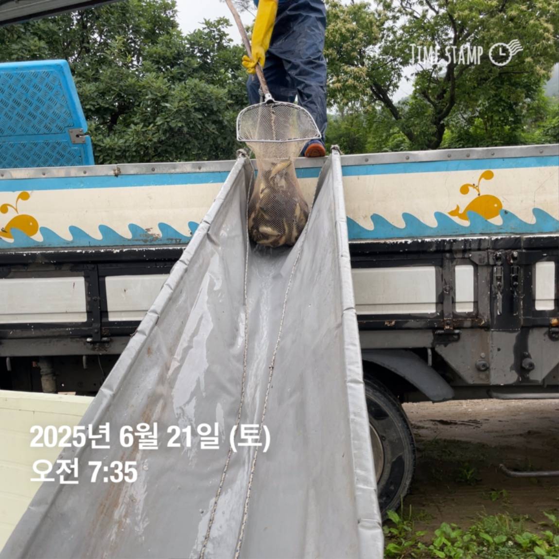 KakaoTalk_20250623_112518913_20.jpg