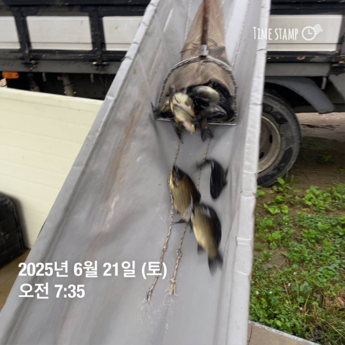 KakaoTalk_20250623_112518913_23.jpg