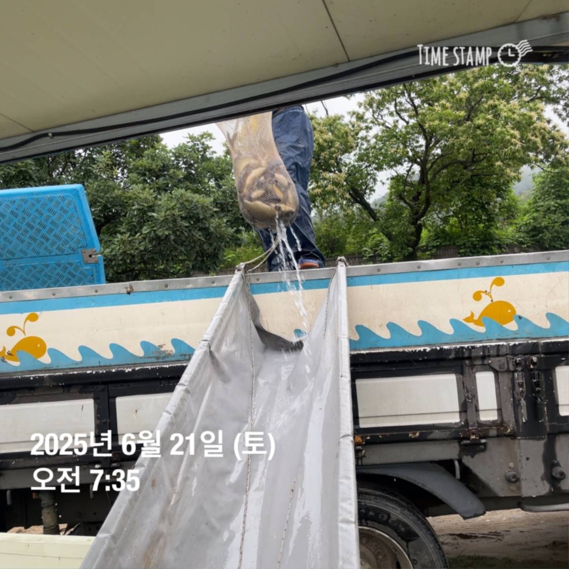 KakaoTalk_20250623_112518913_22.jpg