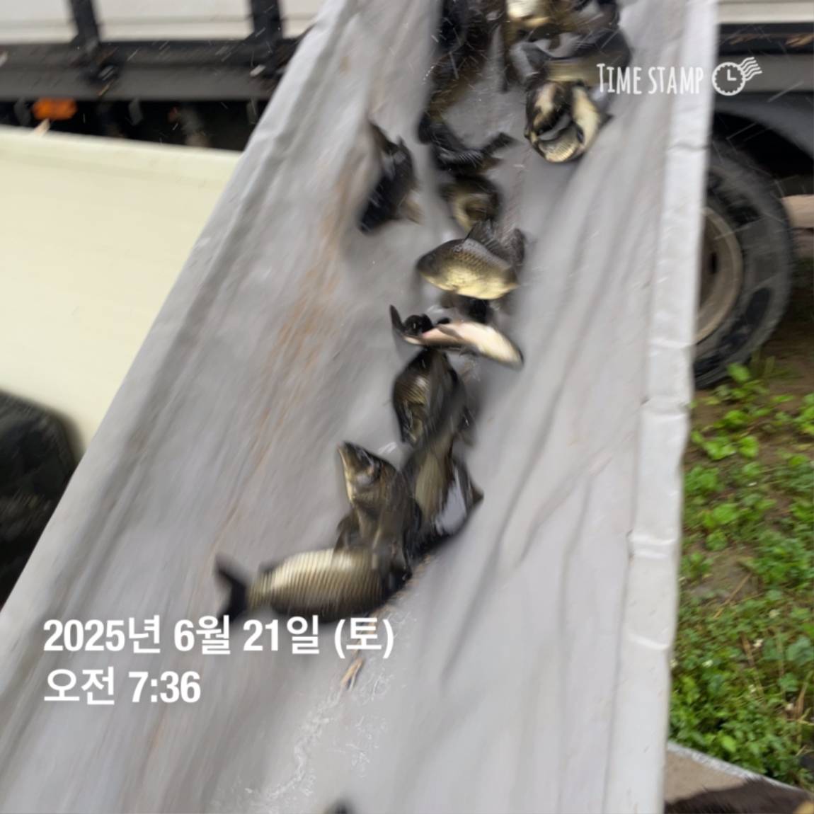 KakaoTalk_20250623_112518913_26.jpg