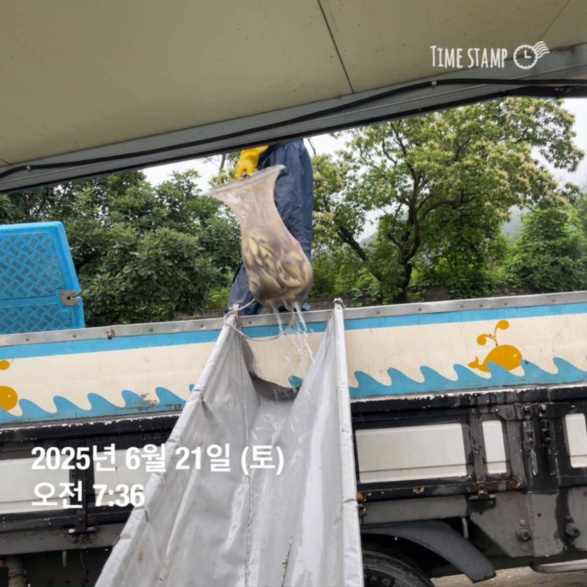 KakaoTalk_20250623_112518913_27.jpg