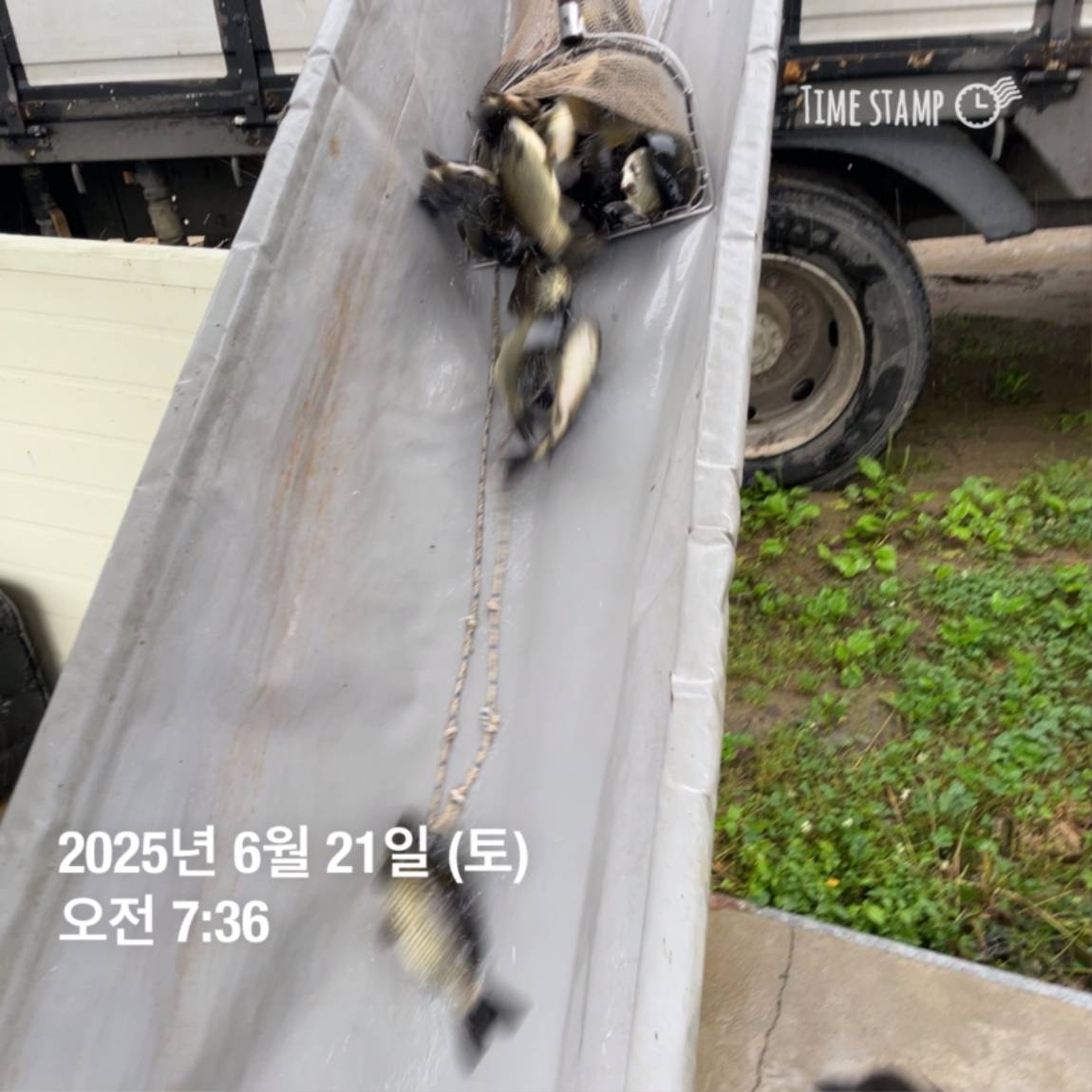 KakaoTalk_20250623_112518913_29.jpg