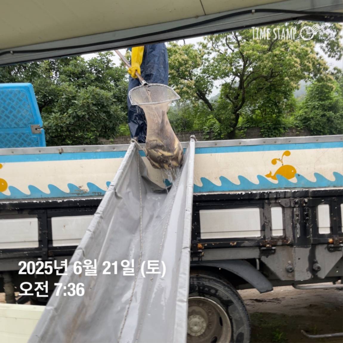 KakaoTalk_20250623_112518913_28.jpg