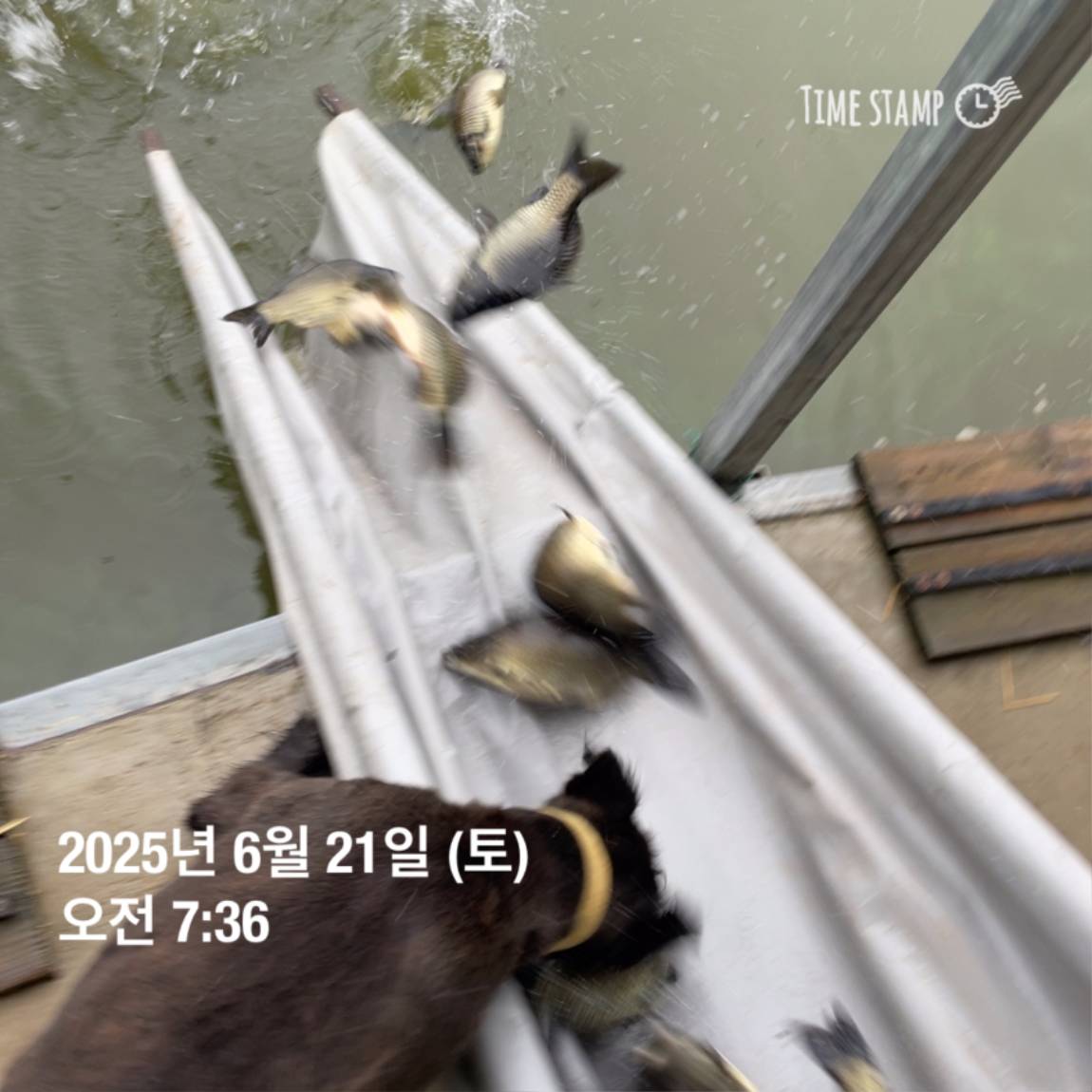 KakaoTalk_20250623_112528208.jpg