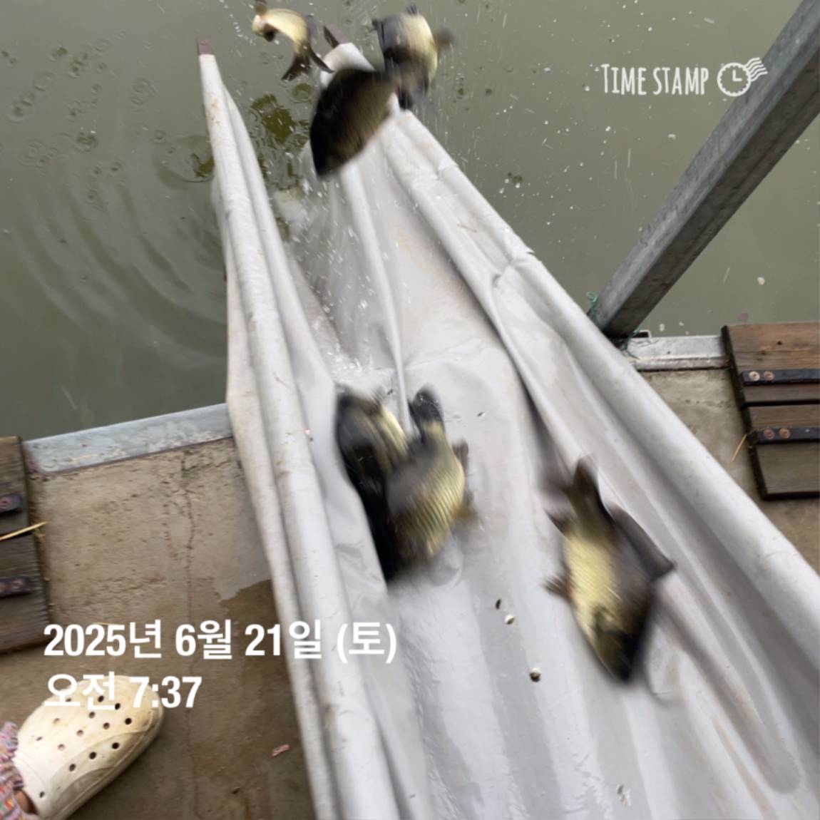 KakaoTalk_20250623_112528208_02.jpg