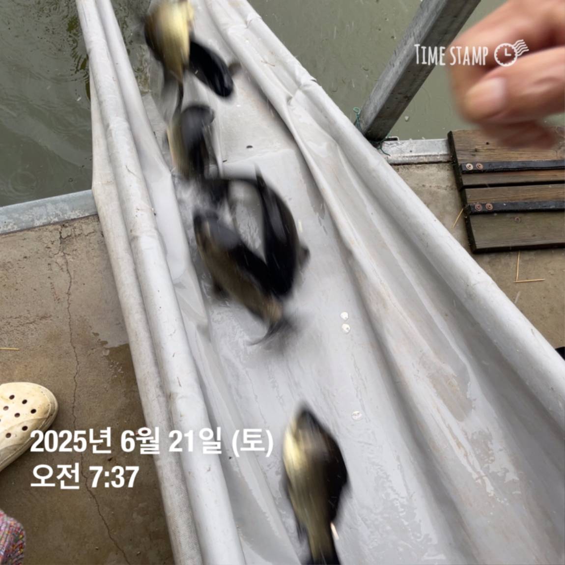 KakaoTalk_20250623_112528208_03.jpg